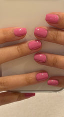 Fushia Rose